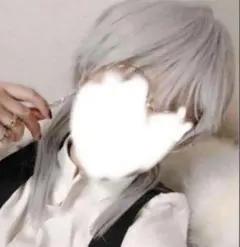 本日出品削除/シルバーロングウルフウィッグ