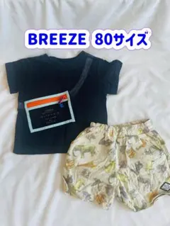 Item thumbnail for item 7b1b496f-b95b-4407-a443-d468bce97f0c