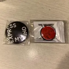 GENERATIONS ジェネレーションズ 片寄涼太ピンバッジ