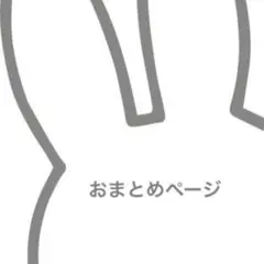 ✴︎ ma-yu様　専用　✴︎