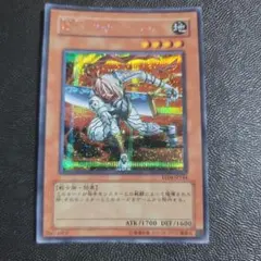 遊戯王 D.D.アサイラント 2枚 英語版 プラチナムシークレットレア
