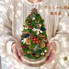 ⚠️専用品⚠️ 大王松 の 松ぼっくりツリー プリザーブド ドライ