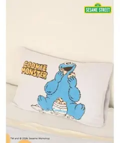 新品未使用　レア‼️超特大サイズ　ジェラピケ　セサミストリート エルモ クッション 新品未使用 レア‼️超特大サイズ ジェラピケ セサミストリート エルモ