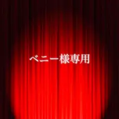 ベニー様専用ページ