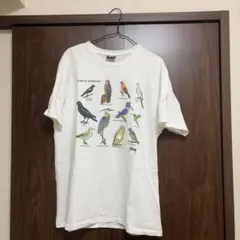 stussy California Birds tee tシャツ 鳥 23ss - メルカリ