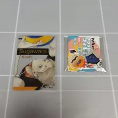ハイキュー!! VBC アクリルバッジコレクション 2016 菅原孝支 烏野高校