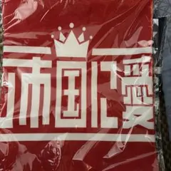 バチカン市国に愛されたい　タオル　赤　レッド バチカン市国に愛されたい タオル 赤 レッド - メルカリ
