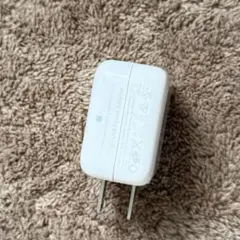 Apple純正 10W USB 電源アダプタ 充電器 iPad iPhone