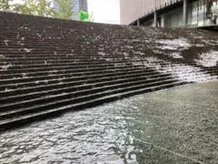 Item thumbnail for item da0a74d4-c9c3-4cd5-ba52-f9447473fe68