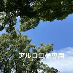 2026年最新】ホビー・楽器・アートの人気アイテム - メルカリ