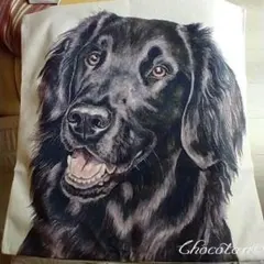 Item thumbnail for item 3d254563-7539-42e7-8dda-36085266eb71