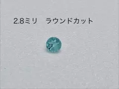 ネオンブルーとネオングリーンの双子ちゃん☆ブラジルバターリャ