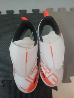 Item thumbnail for item 9d1d1813-f605-49b6-aee9-863f08372e02