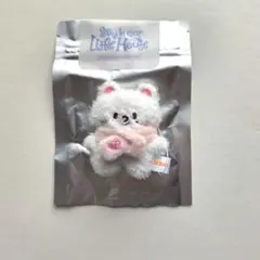 StrayKids シークレットプラッシュ マイクロ ジニレット