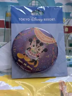 東京ディズニーリゾート ミッキー・ミニー缶バッジ　バースデー