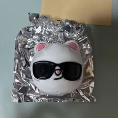 Stray Kids SKZOO ランダムフェイスキーリング ジニレット