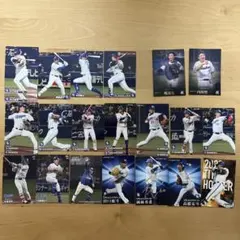 中日ドラゴンズ プロ野球チップス まとめ売り