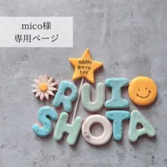 mico様専用ページ　クレイケーキ　名前フェイクアイシングクッキー