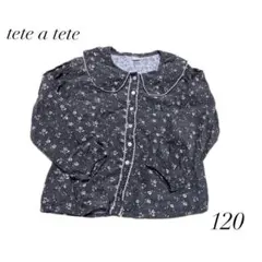 テータテート　120