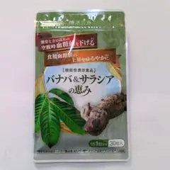 Item thumbnail for item 2492ebc5-00cc-4e56-ad3f-f5383bdfa2f4