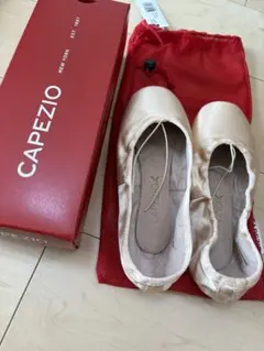 Item thumbnail for item 3760e4c4-b48e-4c0b-beec-0128de56a158