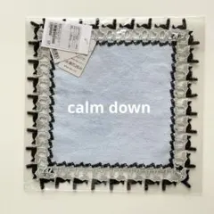 新品未開封 近沢レース ユナイテッドアローズ calmdown タオルハンカチ