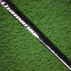 Item thumbnail for item 111eb3e8-32c6-4e11-bd88-2aa26280089d