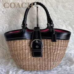 COACH 蝶 バタフライ ストローバッグ かごバッグ ハンドバッグ Y2K