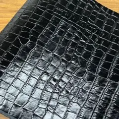 Item thumbnail for item 500d0eb3-cfc9-448b-94c7-823214d69392