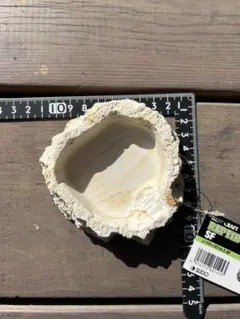 Item thumbnail for item 2fdcc4ba-e616-4f82-a9c7-785b6d8d7e1a