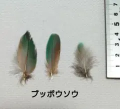 Item thumbnail for item 117efd0d-911a-483e-895c-0d16f0b0b46b