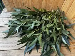 くみこさん様 リクエスト 2点 まとめ商品