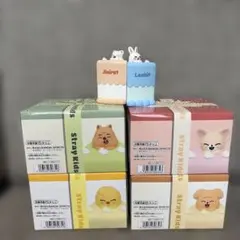 SKZOO BIRTHDAY CAKE コレクション　6個セットのサムネイル