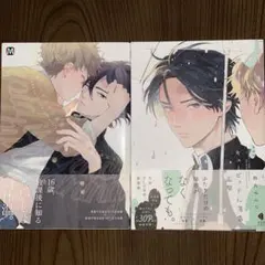 値下げしました。キューピッドに落雷・新装版 キューピッドに落雷 追撃