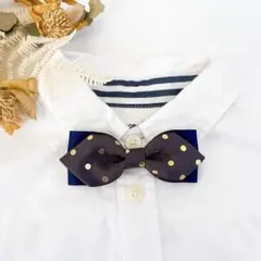 Item thumbnail for item 0fe38924-8055-46be-86ac-c37b88632e6a