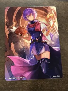 マナ様　リクエスト　FEサイファ　マーカー　&バッジ 2026年最新】FE サイファ マーカーカードの人気アイテム - メルカリ