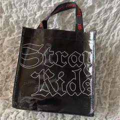 StrayKids スキズ dominATE アプグレグッズ（未開封）