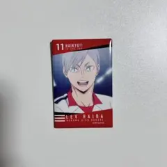 Item thumbnail for item 3cd051db-d2ea-4c65-800d-0a5e8452700b