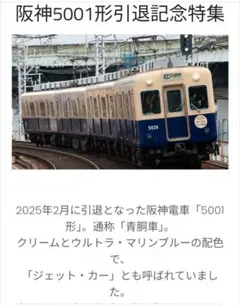 青胴車引退記念 阪神5001形 2連キーホルダー 5025 - メルカリ