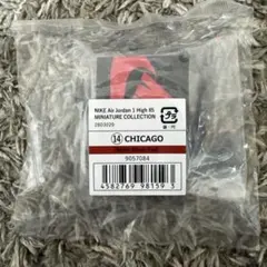 NIKE エアジョーダン ガチャ ミニチュアコレクション シカゴ