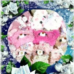 ☆はる(*^-^*)様☆専用ページฅ(ᯫ᳐⦁⩊⦁ᯫ᳐)ฅ❤✩.*˚