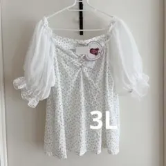 Chipclip トップスevelyn 夢展望 量產 mars 風のサムネイル