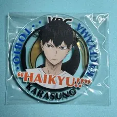 2026年最新】ハイキュー アクリルバッジ 2016の人気アイテム - メルカリ