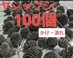 Item thumbnail for item f2d82a78-2997-47ec-bc75-e1c262a75e50