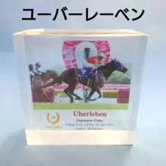 2025年最新】ゴールドシップ アイドルホースの人気アイテム