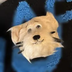 straykids スキズ　スキチュー