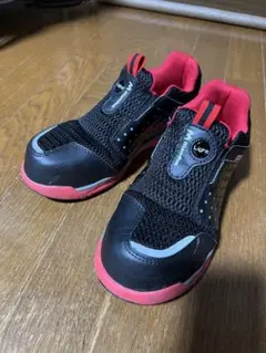 Item thumbnail for item 37826738-a807-472e-bc7a-4320238c207d