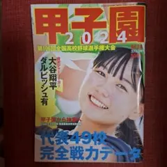 2025年最新】106回 高校野球の人気アイテム - メルカリ