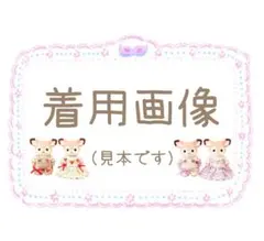 着用見本です