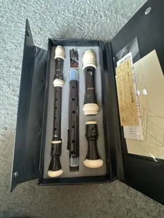 Item thumbnail for item 81c710a2-ffee-4516-93f2-dcda31cf88d8